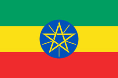 �������ȁ����C