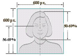 ����(gu��)���C��Ƭ