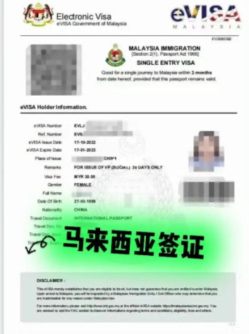 �R���������C