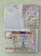 9��26�������ô��C10���γ���