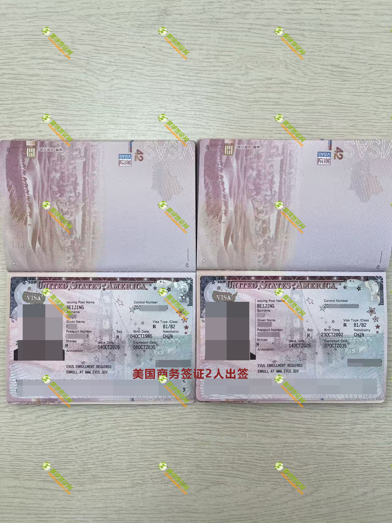 美國商務(wù)十年簽證頁